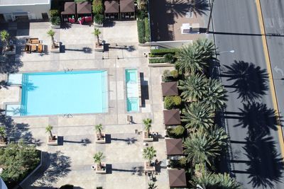 Bird's eye view of an expansive pool surrounded by palm trees