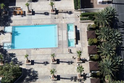 Bird's eye view of an expansive pool surrounded by palm trees