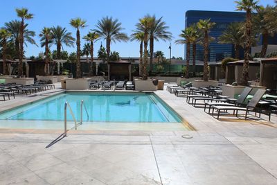 Expansive pool surrounded by palm trees